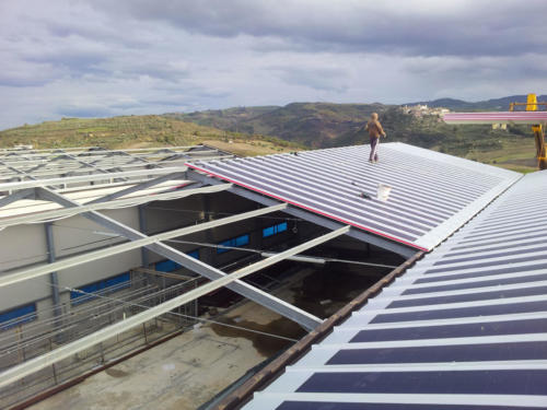 Impianto Fotovoltaico Cardopan