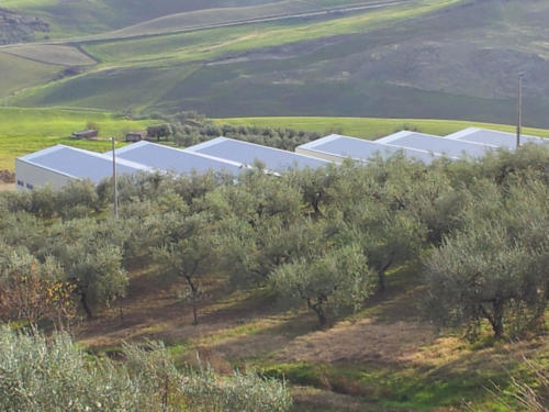 Impianto Fotovoltaico Cardopan